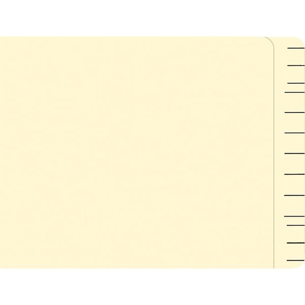 Car Dealer Depot File Right ColorCode FileFolders(Plain), 9 1/2" X 12 5/8", 100 Per Bx Pk 301 - main